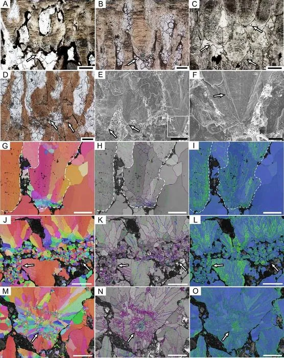 SEUs of the highly porous dinosaur eggshells