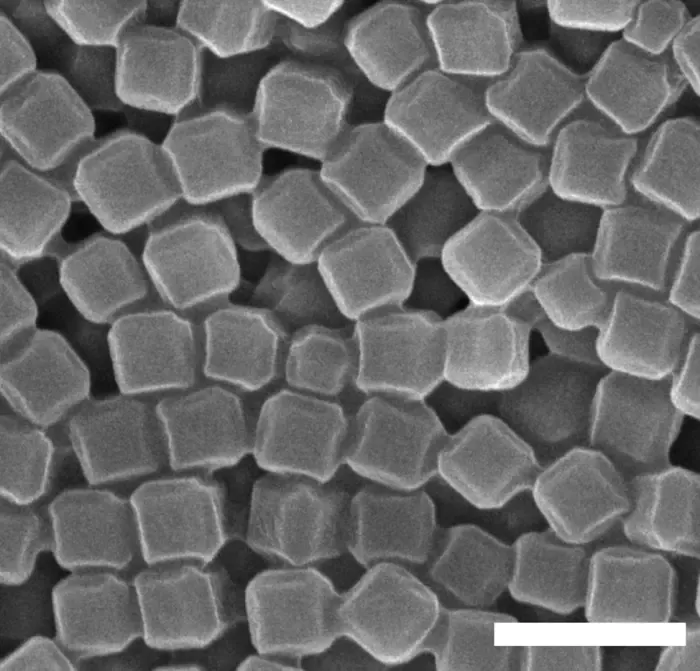 Nanoparticle smart spray helps crops block infection before it starts
