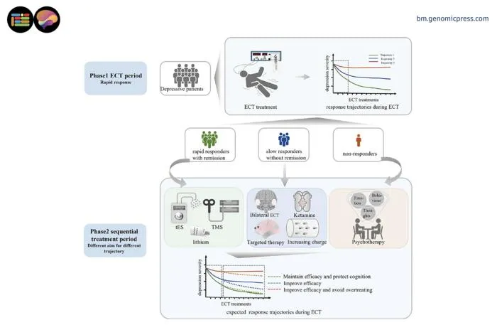 ECT response–guided sequential strategy.