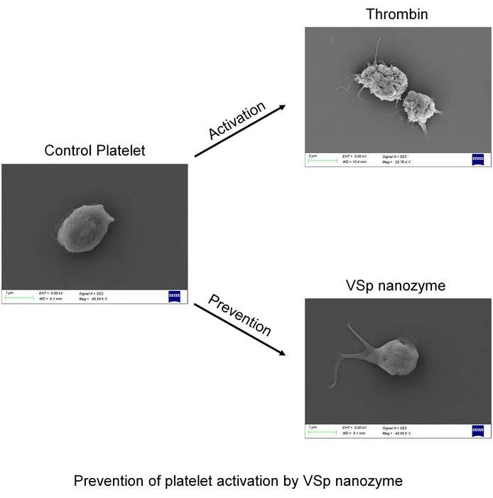 Prevention of platelet activation by VSp nanozyme