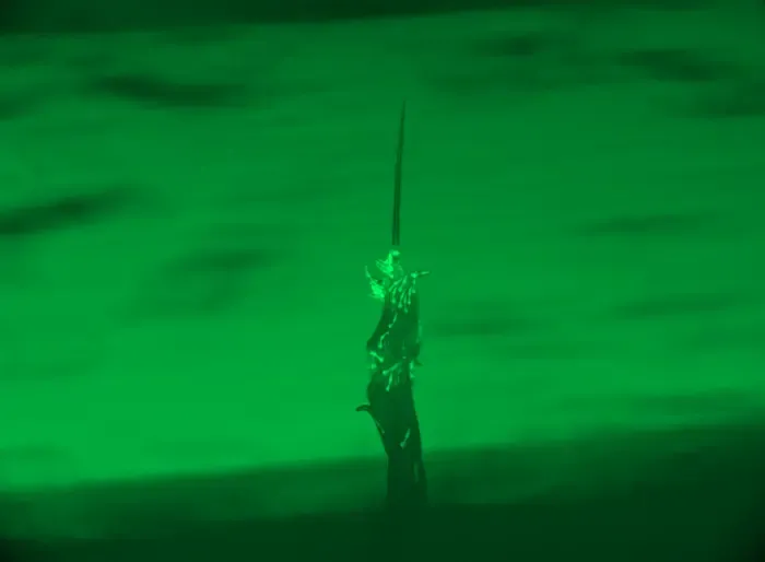 Living worm tower