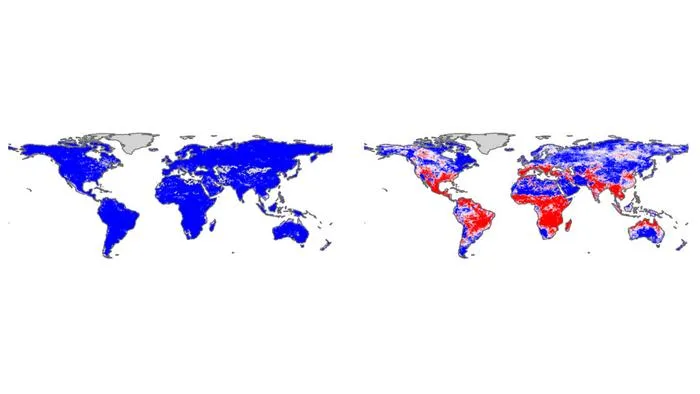 Maps
