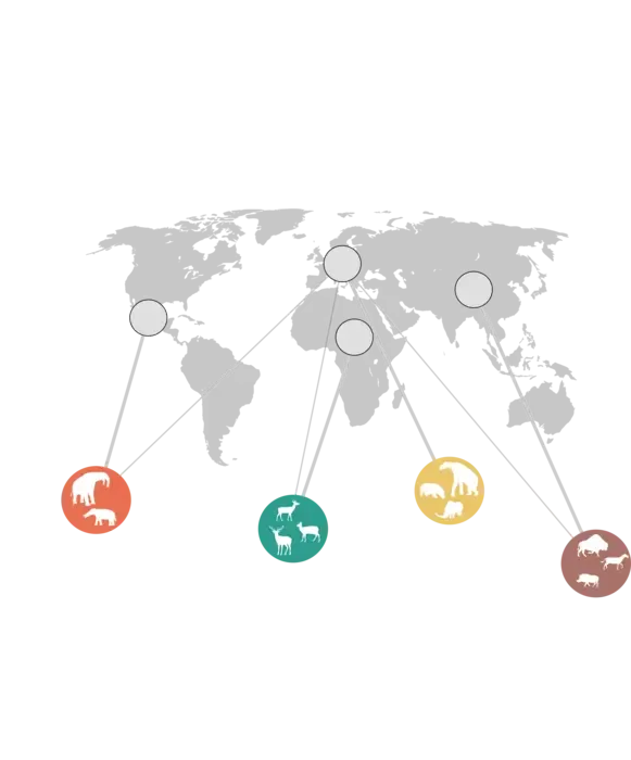 Network of ecological roles