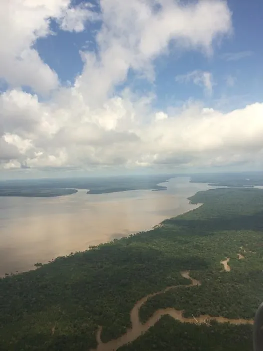 Photograph taken in the Amazon