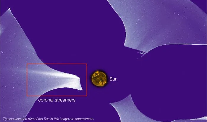 CODEX coronal streamers