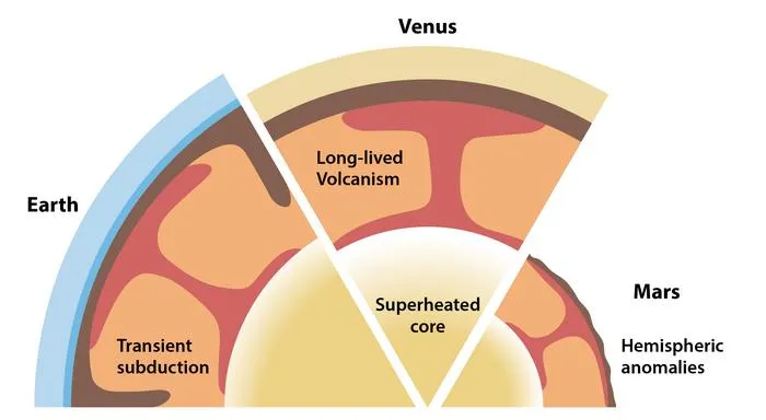 Evolution of Terrestrial Planets