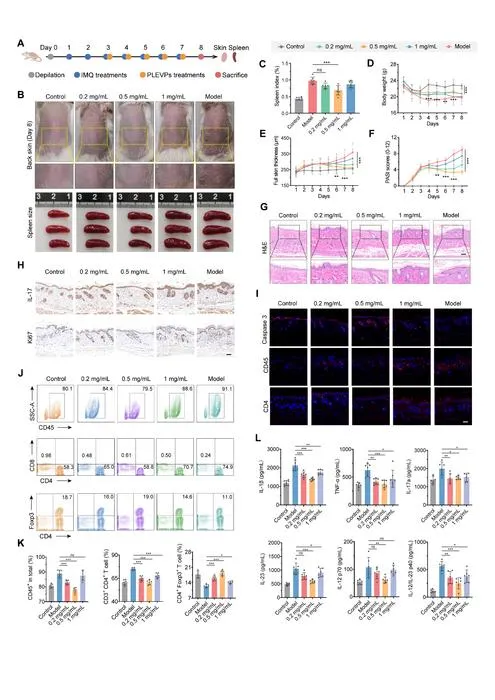 Fig. 2. Topical administration of PLEVPs hydrogel demonstrate prevention efficacy in a psoriasis-like mouse model.