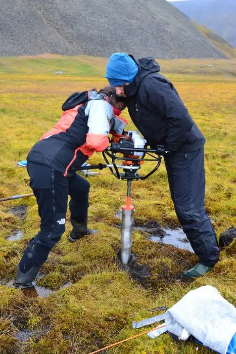 Researchers taking a core sample