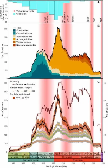 Fig. 2 The Late Paleozoic Ice Age, major volcanic events and fusuline diversity changes from early Visean to end-Permian showing correspondence (Zhang et al., 2025)