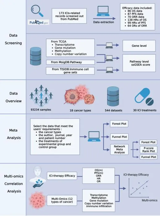 ImmunoCheckDB flowchart