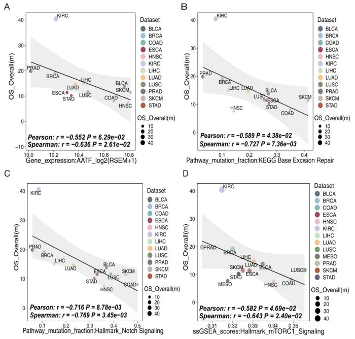 Association analysis between ICI efficacy data and multi-omics data (2)