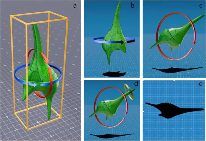 A 3D-rotational modelling approach used to estimate the light-blocking effect of microalgae