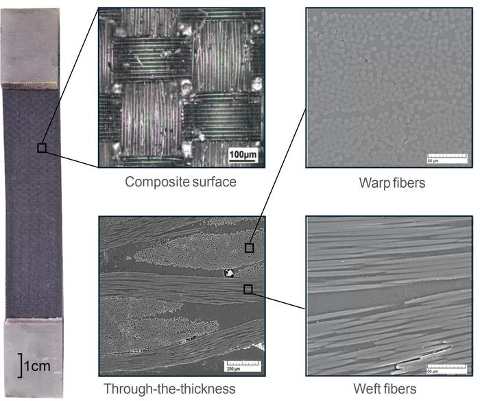 Composite in microscope