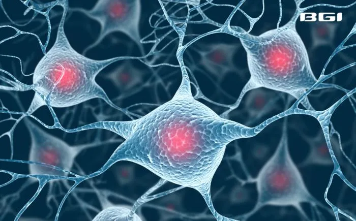 BGI Genomics study Uncovers Brain Damage Progression in Alzheimer's Disease