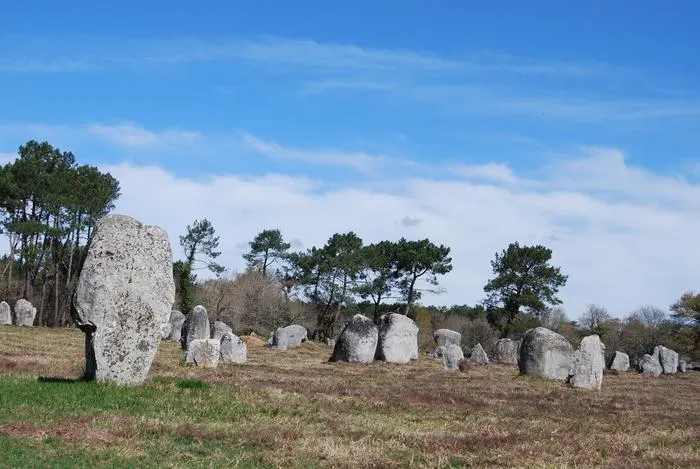 Alignments of Carnac