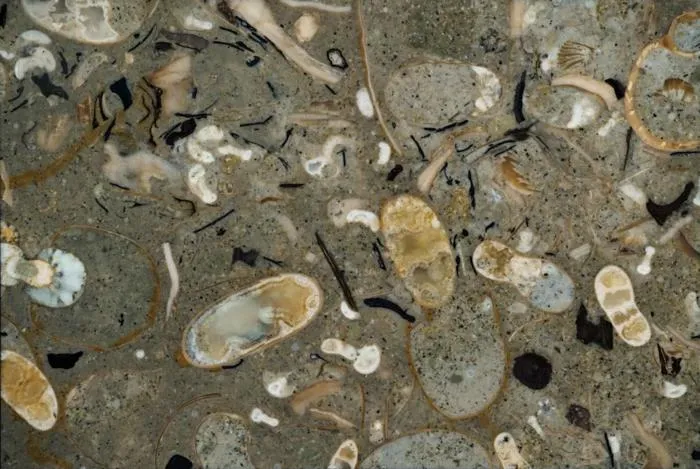 An example of  grinding tomography images