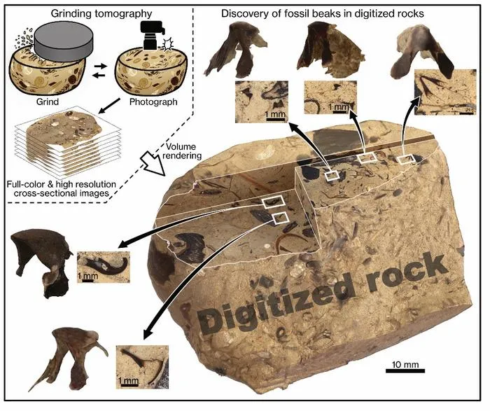 The digital fossil-mining method
