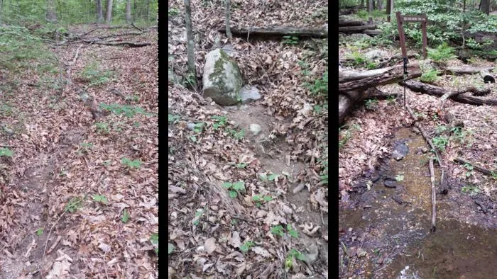 Tiny channels identified by new high-resolution Chesapeake Bay Watershed stream maps