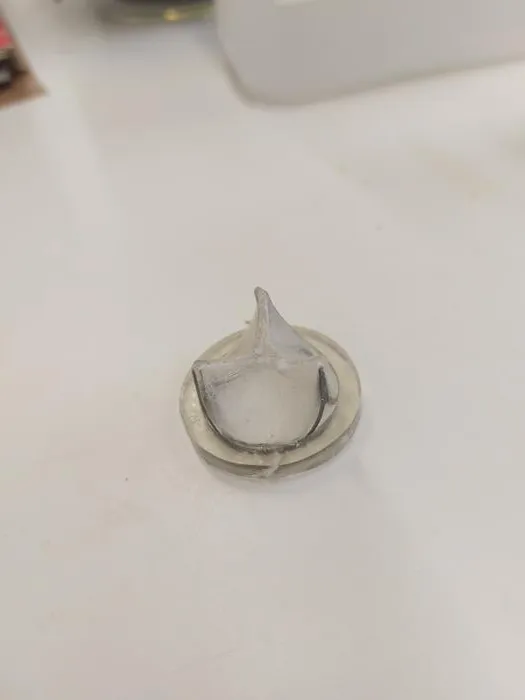 A precisely molded heart valve prosthesis