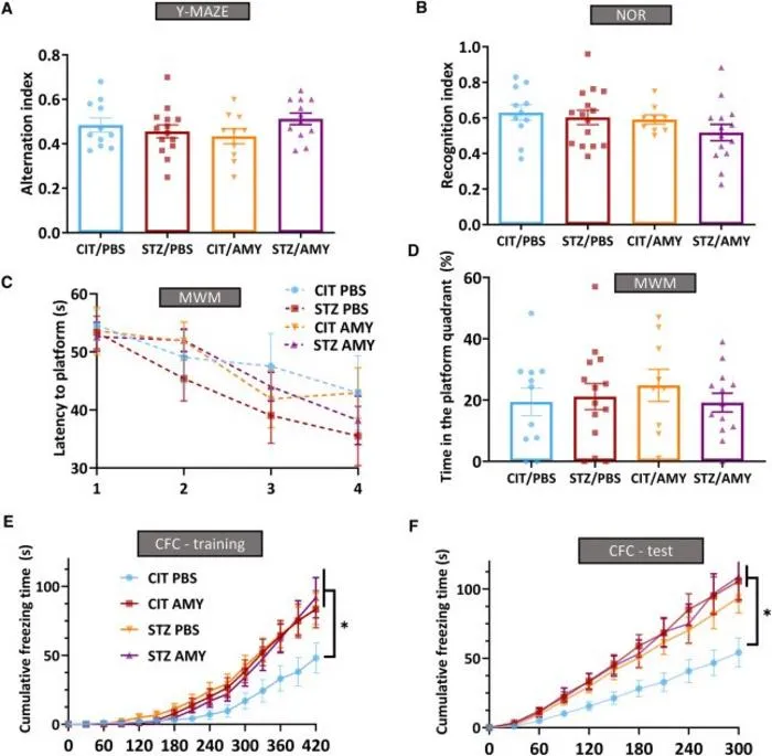 Cognitive performance of PS19 mice injected with CIT or STZ and PBS or AMY.