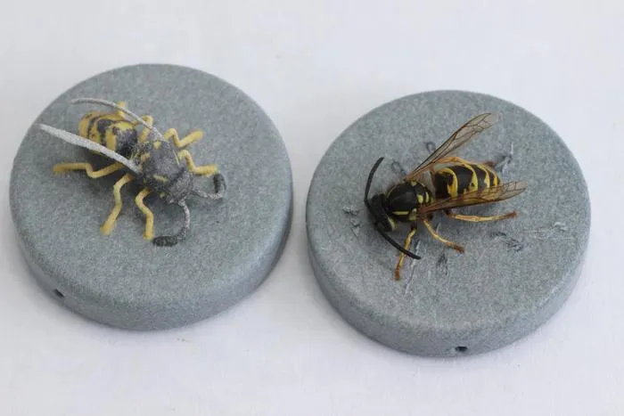 A wasp next to its 3D printed equivalent.