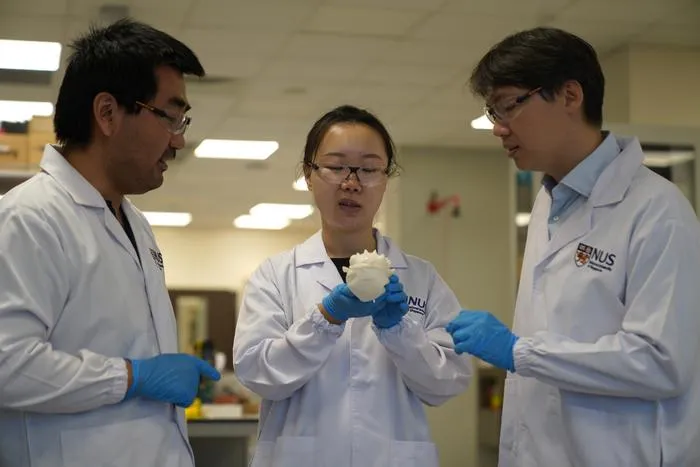 NUS researchers develop novel material for water quality  monitoring device (photo 1)