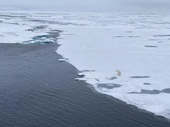 Life on the Arctic Ocean sea ice