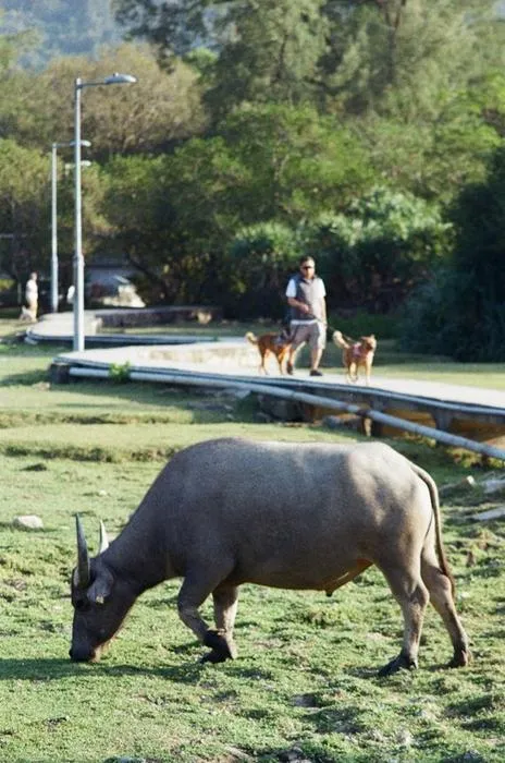 Familiarity with wildlife in rural areas often leads to more positive perceptions, the report’s findings suggest.