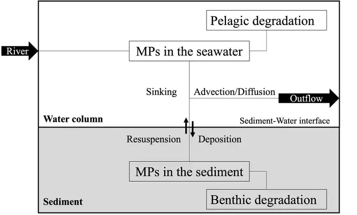 Conceptual scheme of the microplastics (MPs) transport module.