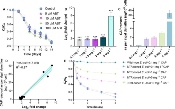 Fig. 2. Verification of CYP450 activity and removal kinetics of CAP by an engineered bacterium carrying NTR gene