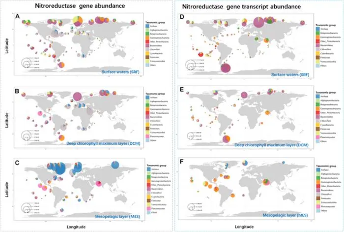 Fig. 3. Global distribution of cyanobacterial NTR gene