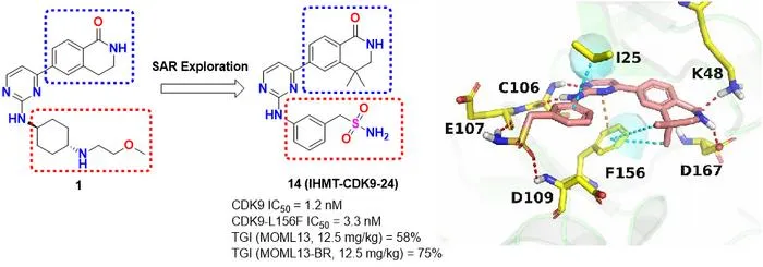 Researchers Develop Potent CDK9 Inhibitor to Overcome Drug Resistance in Hematological Malignancies