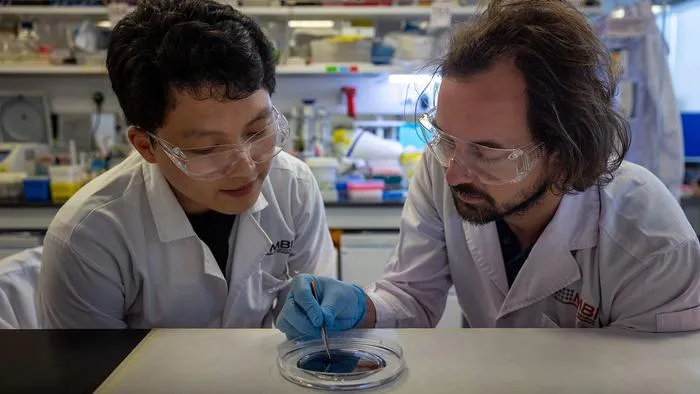 Asst Prof Andrew Holle (right) and PhD student Gao Xu (left), first author of the research paper, discuss features on the silicon wafer containing the mould of their microchannel device.