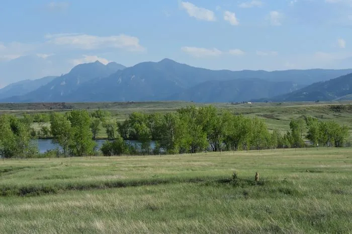 Field site