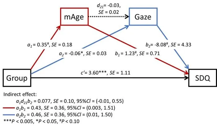 Path model depicting additional layers of complexity