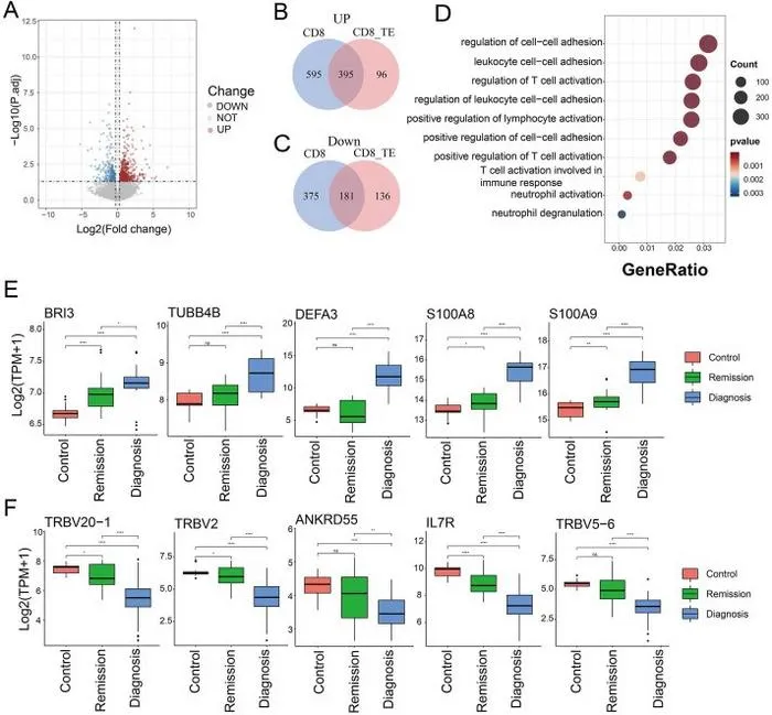 CD8 TE cell demonstrates CML-specific gene expression.