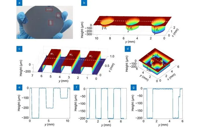Demonstration of wafer inspection