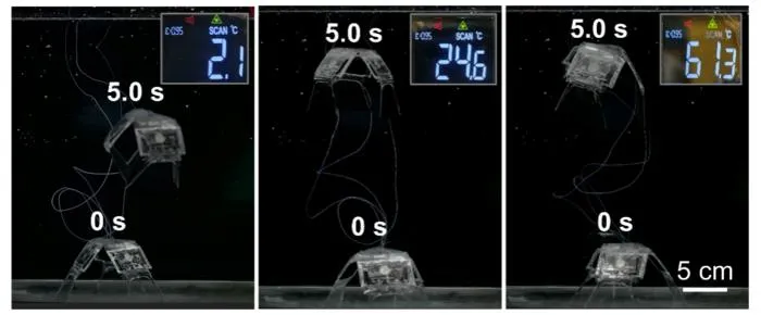 The capability of swimming in wide temperature range