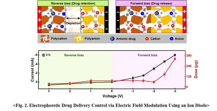 Figure 2. Electrophoretic Drug Delivery System via Electric Field Modulation Using an Ion Diode