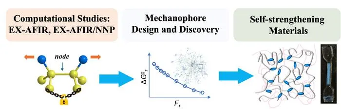Computational screening process for mechanophore candidates