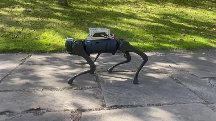 Robot walks on paving slabs