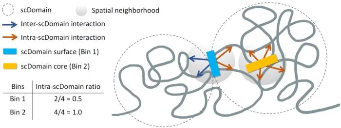 Schematic figure