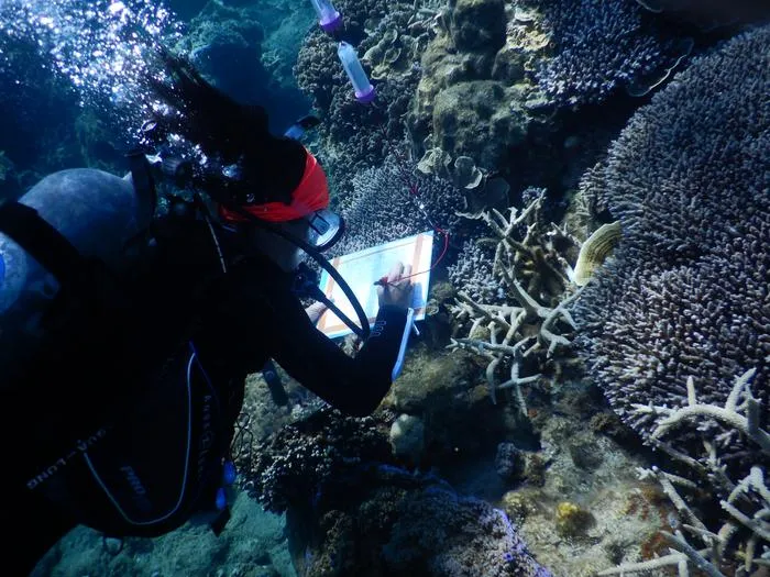 Diver observing reef