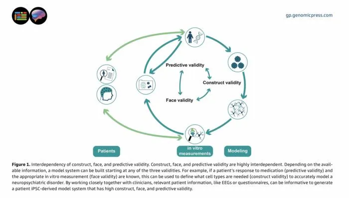 Interdependency of construct, face, and predictive validity.