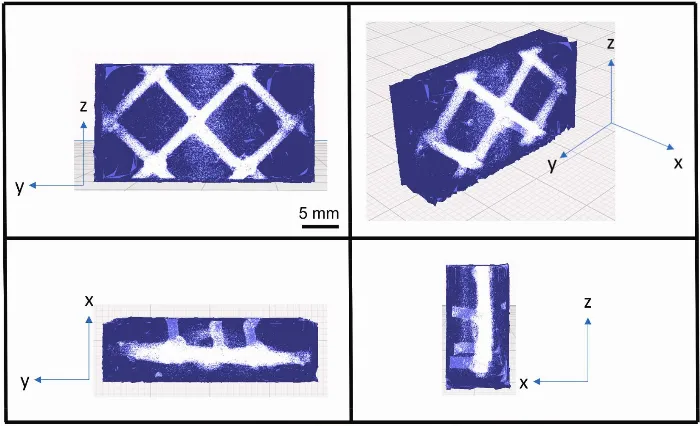 X-Ray Scan of Vascular Building Materials