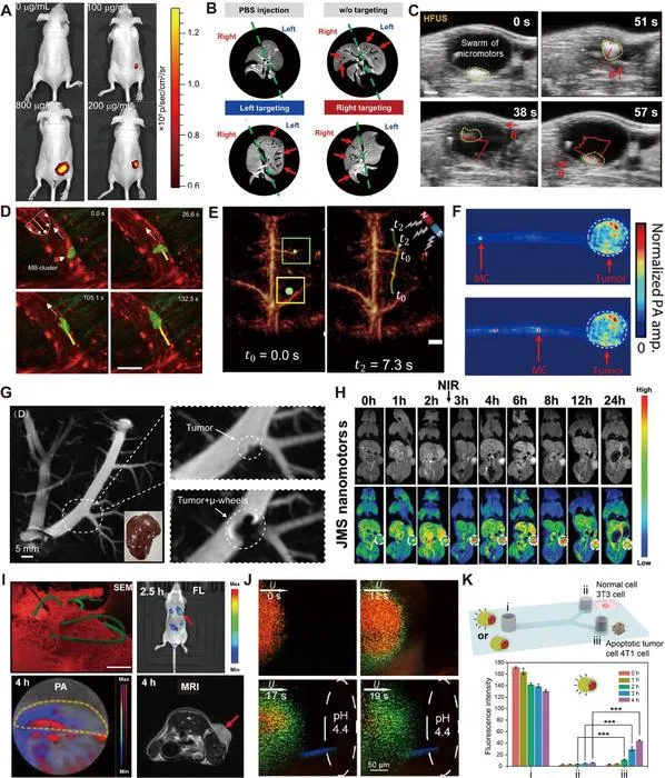 Fig. 5. Imaging of microrobotic swarms in cancer therapy.