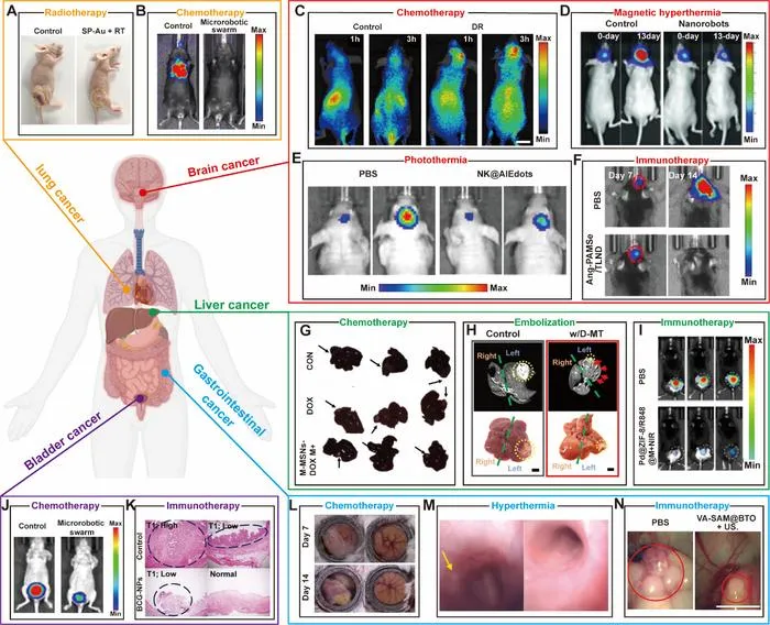 Fig. 6. Microrobotic swarms for the treatment of tumors in different organs.