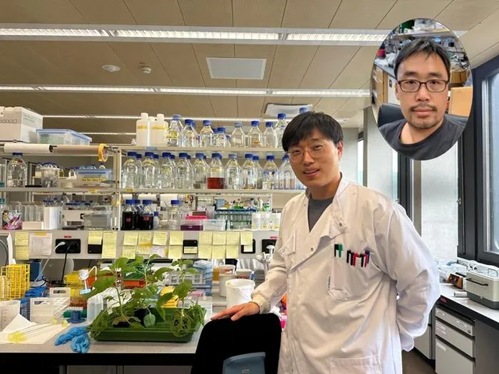 Why Do Plants Attack Themselves? The Secret of Genetic Conflict Revealed​