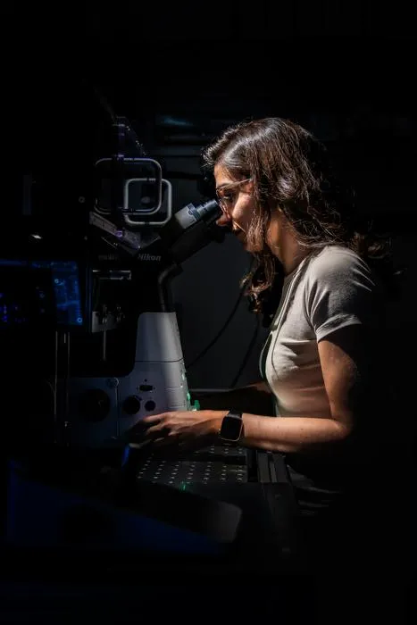 Rodrigues at microscope in the lab at ISTA