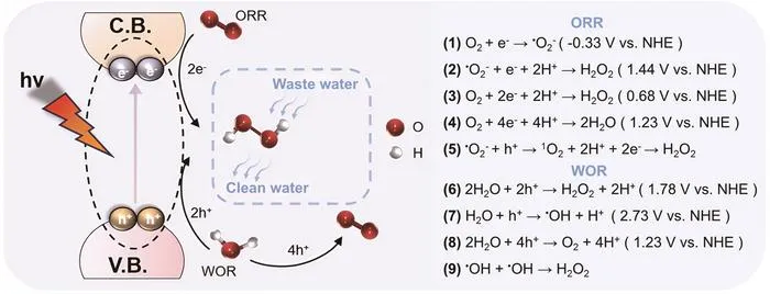 Metal-free catalysts break through in green H2O2 synthesis! Novel organic semiconductors enable high-efficiency interfacial reactions